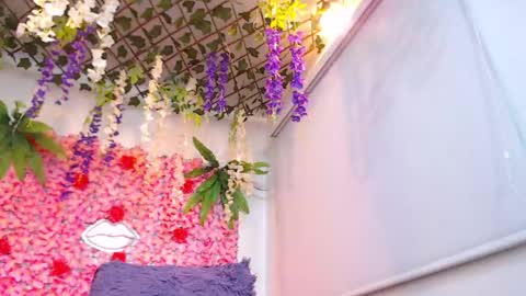 Risitos De Oro online show from 04/22/26, 02:14