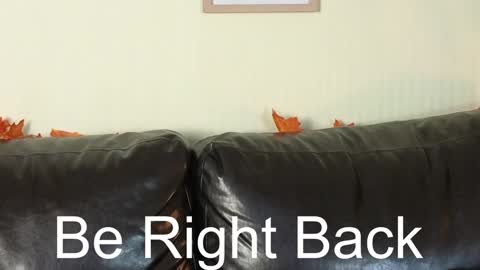 Alice online show from 12/13/24, 11:02