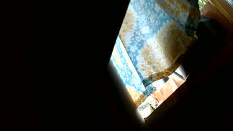 riskyjizznessss online show from 12/31/24, 04:46