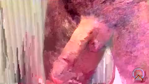 ritto44 online show from 05/16/26, 12:29