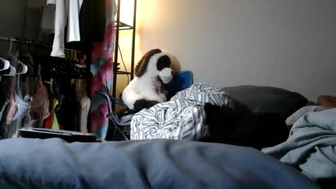 Snapshot of riversaint chatting on 03/11/25, 11:04 River Saint online show from 03/11/25, 11:04