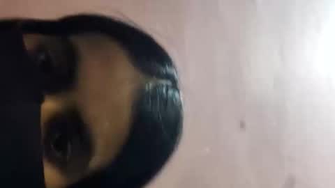 riya_malik online show from 05/26/26, 01:29
