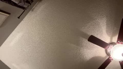 Snapshot of rluxe2676 chatting on 01/21/25, 11:35 BwC4Breed online show from 01/21/25, 11:35