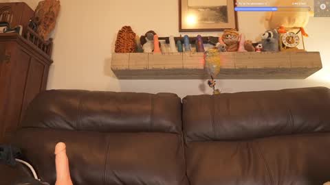 Snapshot of rndmzd chatting on 02/14/25, 07:38 Ryan aka KeylimeRy online show from 02/14/25, 07:38