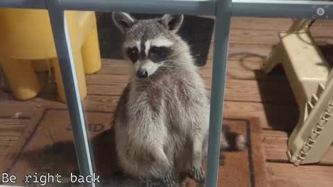 Snapshot of rndmzd chatting on 02/28/25, 11:36 Ryan aka KeylimeRy online show from 02/28/25, 11:36