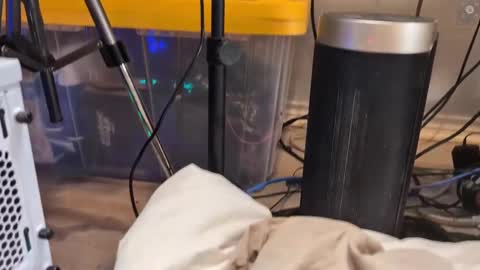 Snapshot of rndmzd chatting on 03/11/25, 09:02 Ryan aka KeylimeRy online show from 03/11/25, 09:02