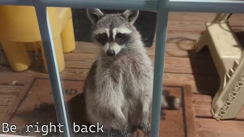 Snapshot of rndmzd chatting on 12/04/25, 07:33 Ryan aka KeylimeRy online show from 12/04/25, 07:33