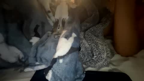 roarmance1 online show from 10/30/25, 05:35