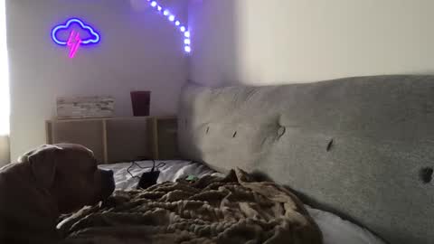 RoastingCorn online show from 01/03/25, 10:29