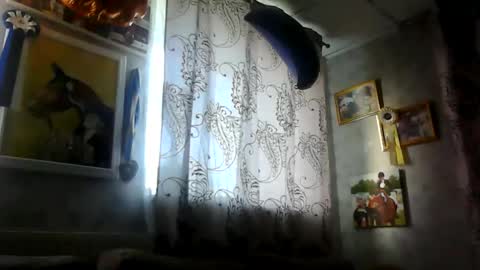 rob18997 online show from 11/16/25, 10:54