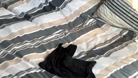 rob616580 online show from 01/13/26, 10:53