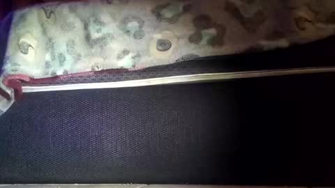 robert227818 online show from 11/08/25, 06:13