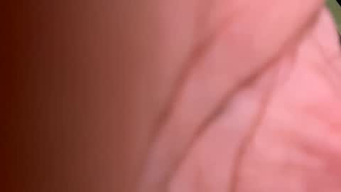 roberto925 online show from 01/10/25, 07:11