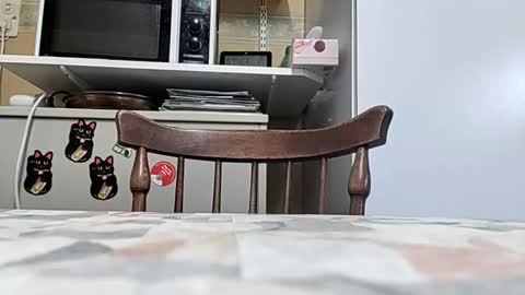 robke1966 online show from 03/24/26, 06:51