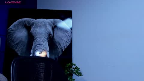 rocco_santos online show from 09/23/25, 10:02