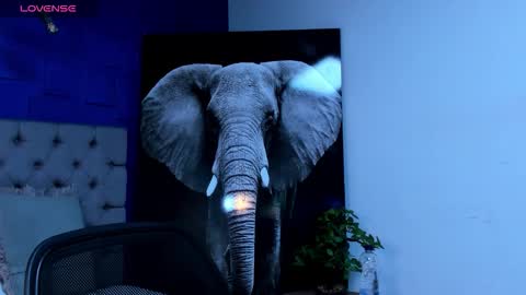 rocco_santos online show from 09/28/25, 03:12