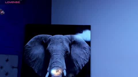 rocco_santos online show from 10/04/25, 01:14