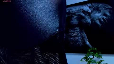 santos online show from 02/25/26, 06:01