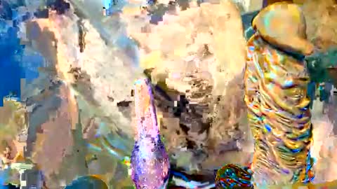 rockdrigo31 online show from 05/02/26, 06:40