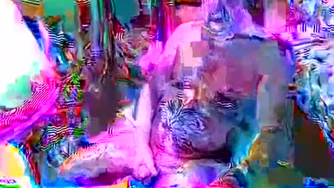 rocky082288 online show from 12/08/24, 12:41