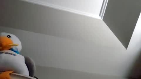 Snapshot of rodbuilttough79 chatting on 11/08/25, 02:28 rodbuilttough79 online show from 11/08/25, 02:28