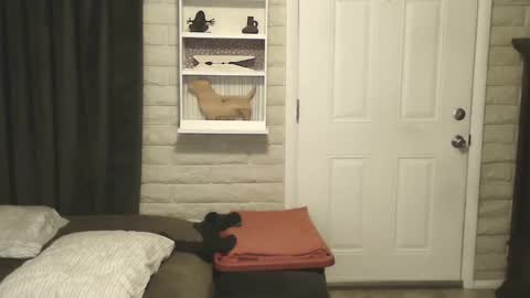 roinaz online show from 01/25/25, 06:55