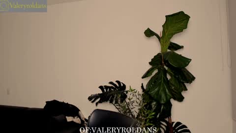 Snapshot of roldansvalery chatting on 02/04/25, 03:44 Valery Roldans online show from 02/04/25, 03:44