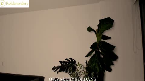 Snapshot of roldansvalery chatting on 02/05/25, 02:51 Valery Roldans online show from 02/05/25, 02:51