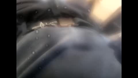 rollino83 online show from 11/09/25, 08:45