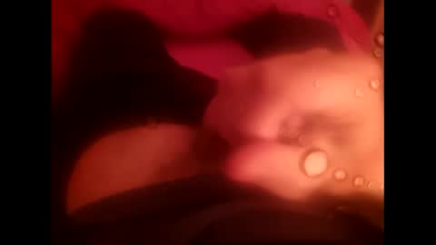 rollino83 online show from 12/17/25, 03:29