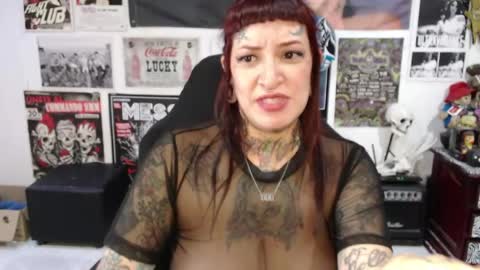 Rolly online show from 04/19/26, 08:55