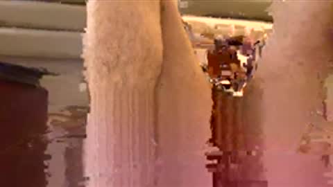 Sexyboyforlick online show from 11/29/25, 12:02