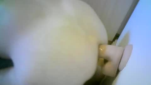 romson998181 online show from 11/01/25, 08:27