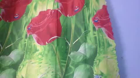 rosah225127 online show from 04/14/26, 02:28