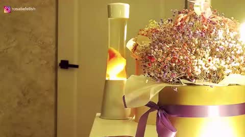 Rosalie online show from 11/16/25, 01:33