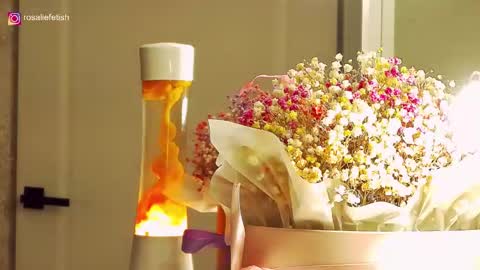 Rosalie online show from 12/20/25, 02:18