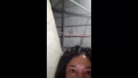 rose_marie2025 online show from 02/05/26, 03:49