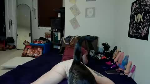 Snapshot of rosehatter chatting on 12/03/24, 10:29 Rose Hatter online show from 12/03/24, 10:29