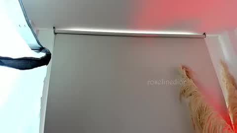 Lyla OF roselinedior online show from 09/11/25, 02:39