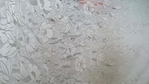 rosia online show from 11/15/25, 08:55