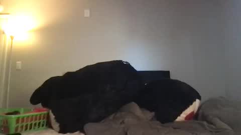 Rosie online show from 03/03/26, 10:37