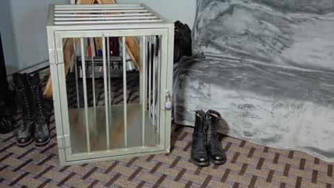 RoughnBootz online show from 02/04/25, 03:11