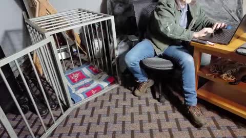 RoughnBootz online show from 02/06/25, 11:37