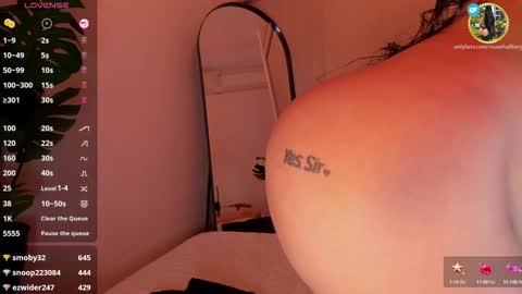 Snapshot of rouse_hallberg_ chatting on 12/31/24, 04:06 DREAM online show from 12/31/24, 04:06