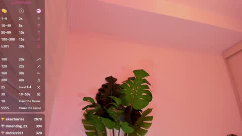 Snapshot of rouse_hallberg_ chatting on 01/04/25, 02:46 DREAM online show from 01/04/25, 02:46