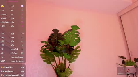Snapshot of rouse_hallberg_ chatting on 01/05/25, 12:20 DREAM online show from 01/05/25, 12:20