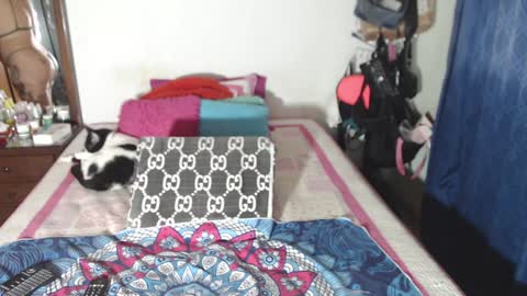 rousse online show from 12/29/24, 02:49