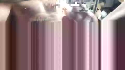 popye online show from 04/23/26, 08:00