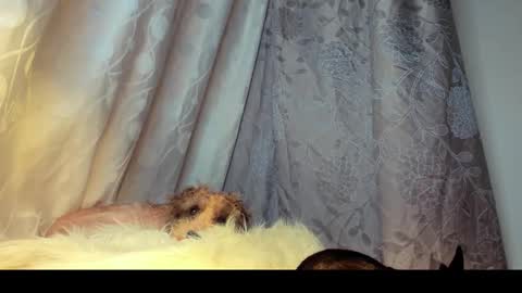 Snapshot of roxanamariahills_ chatting on 02/26/26, 06:01 Rosita online show from 02/26/26, 06:01