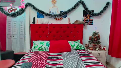 Snapshot of roy_luna chatting on 12/17/24, 01:16 Roy Luna online show from 12/17/24, 01:16